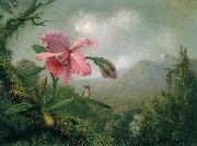 Martin Johnson Heade Orchid and Hummingbird near a Mountain Waterfall oil painting artist